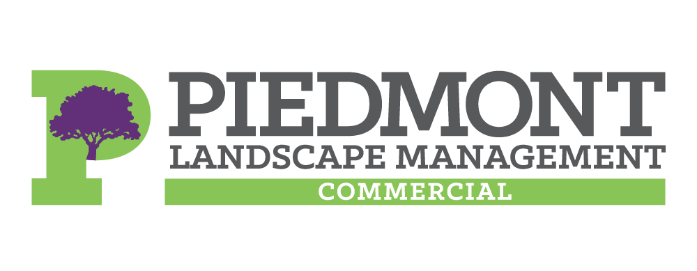 PIED-Logo-FullColor