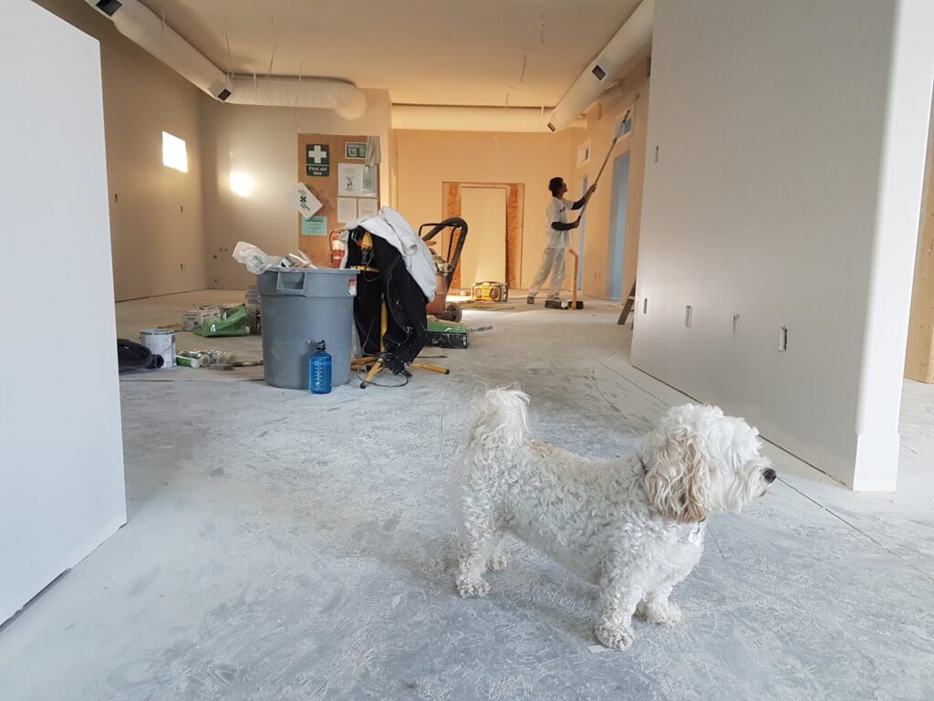 seo for home improvement